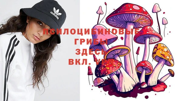 соль курить ск Инсар
