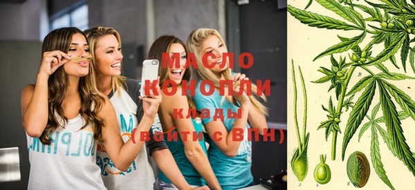 мет Инта