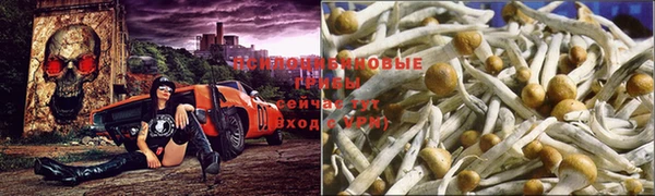 MDMA Зерноград
