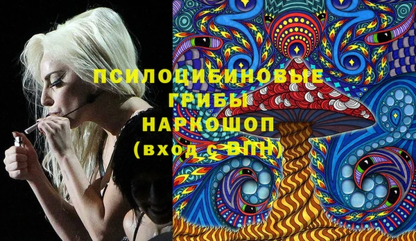соль курить ск Инсар